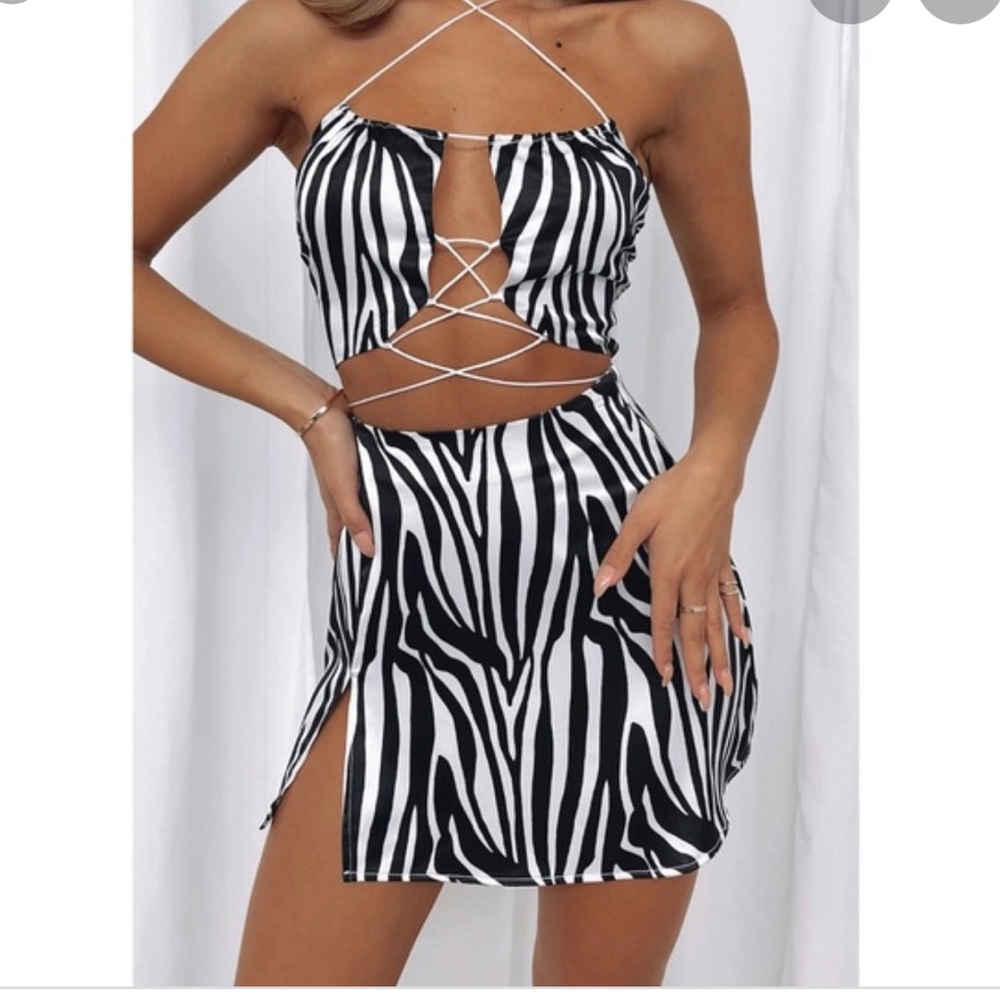 Whitefox boutique zebra print two piece matching set skirt & crop top